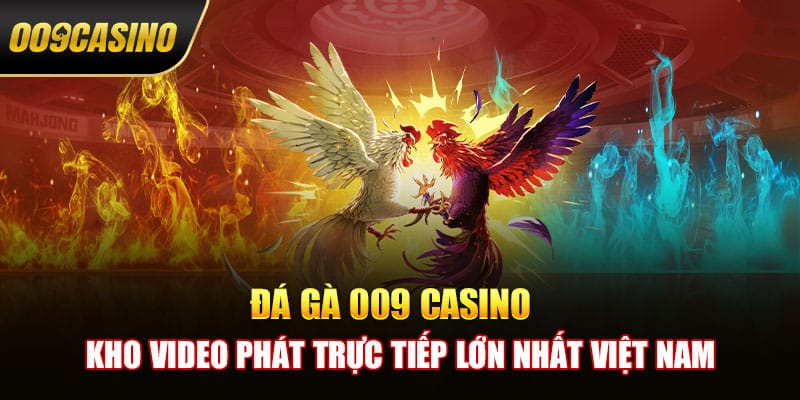Đá gà 009 casino - Kho Video Phát Trực Tiếp Lớn Nhất Việt Nam