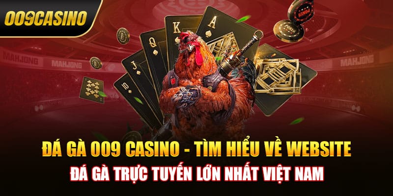 Đá gà 009 casino - Tìm hiểu về website đá gà trực tuyến lớn nhất Việt Nam